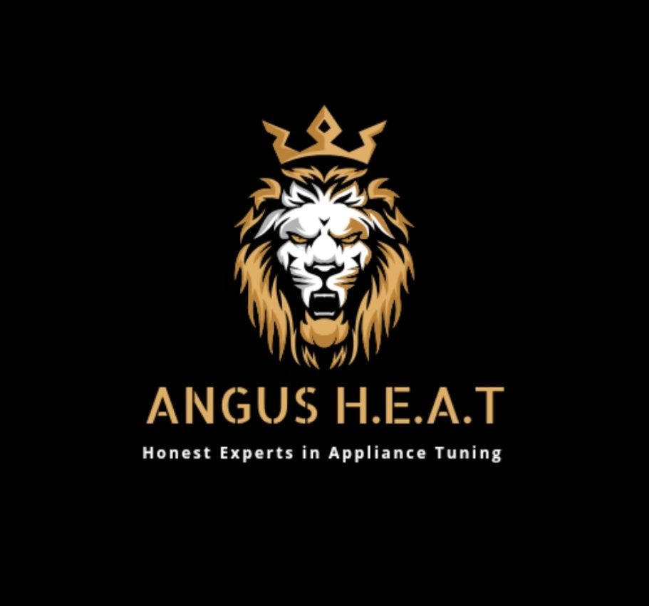 Angus Heat wood stove multi fuel servicing flue and chimney sweep service Dundee angus 